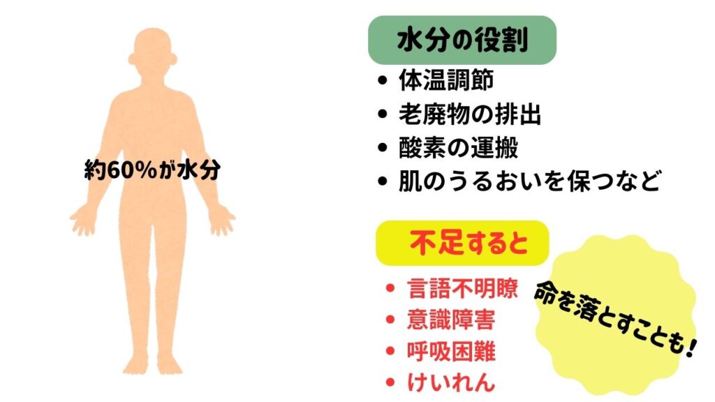 人は水がないとどうなるのかの図